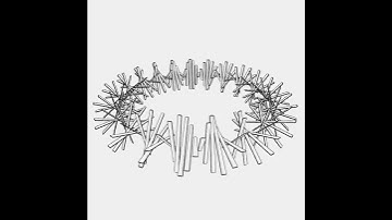 Torus board. Draw by openFrameworks