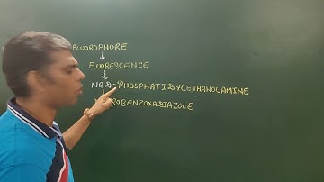 FRAP (Fluorescence Recovery After Photobleaching)
