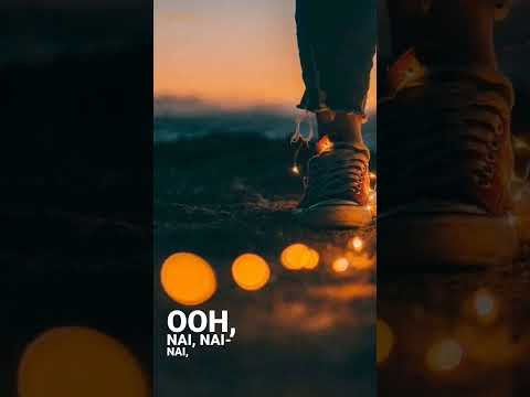 Sugar Brownies Dharia Sugarandbrownies Trending