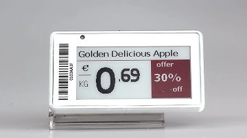 2.13inch ESL Price Tag for Retail Digital Electronic Shelf Label Eink Display Tags SETR0213R