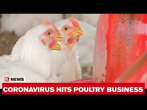 coronavirus-outbreak-hits-poultry-business-as-consumers-keep-off-chicken-meat-and-eggs