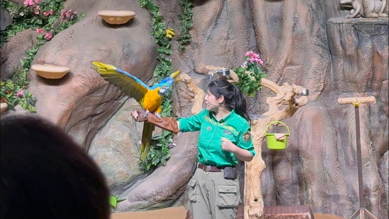 [4K] 20251007 에버랜드 슈퍼 윙스 애니멀 톡 3회차 Everland Super Wings Animal Talk