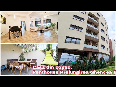 Video: De La Casă în Copac Până La Penthouse