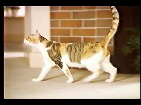 コダック　ディスクカメラＣＭ