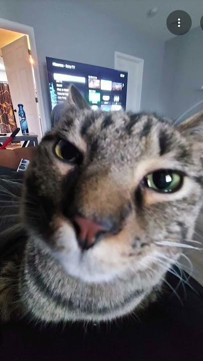 hide your piner 😳☠️