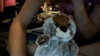 webkinz dancing show