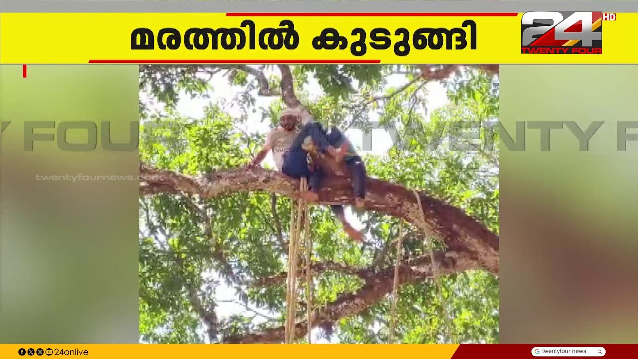 രക്തസമ്മർദം കുറഞ്ഞു, മരം മുറിക്കാൻ കയറിയ യുവാവ് മരത്തിൽ കുടുങ്ങി | Kollam
