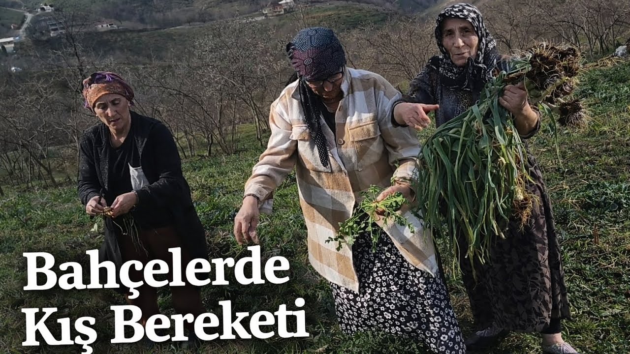 🤯🌱 Komşu Ablalarla Bahçe Mesaisi! Köy Bereketi Başka