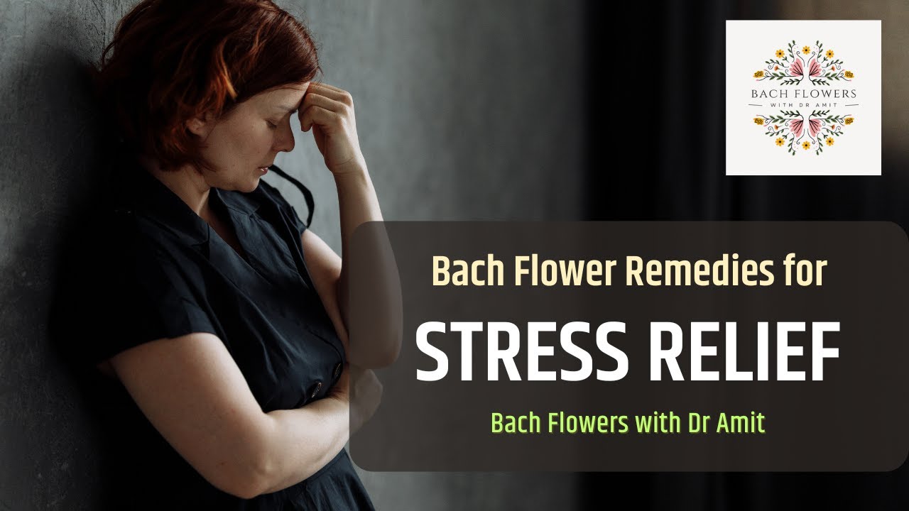 🌿 Bach Flower Combinations for Stress Relief 🌿 Dr Amit Karkare