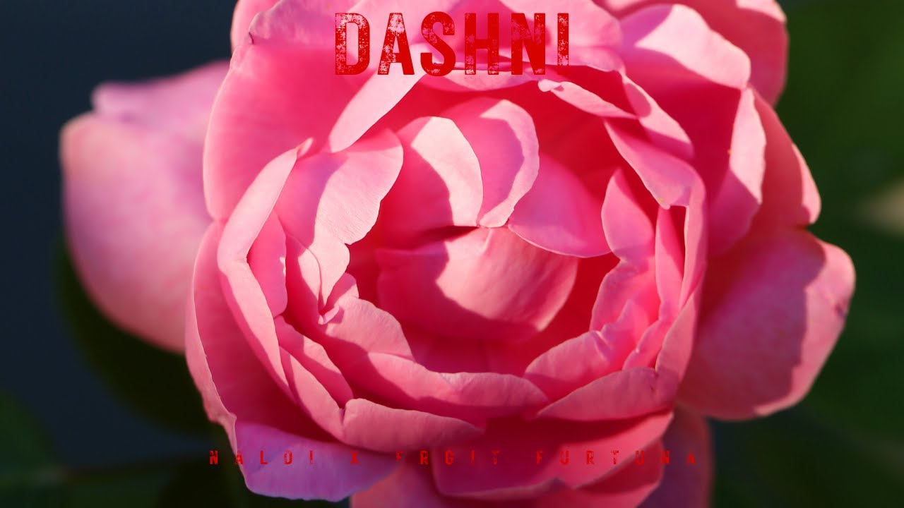 YouTube에서 Naldi x Don Ergit - Dashni (Lyrics Video) 보기 YouTube에서 Naldi x Don Ergit - Dashni (Lyrics Video) 보기