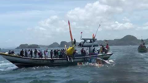 Petik laut sendang biru