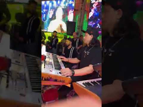 مزمار الغوريلا عبسلام توذيع وسيم مصر