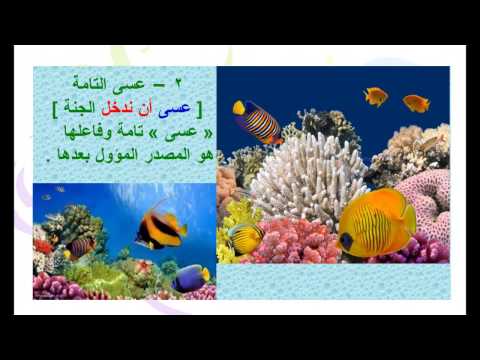 أنواع عسى و وظائفها عماد إبراهيم