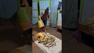 Nungguin paksu dateng bawa ikan banyak