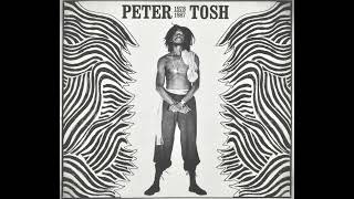 Watch Peter Tosh Nothing But Love long Version video