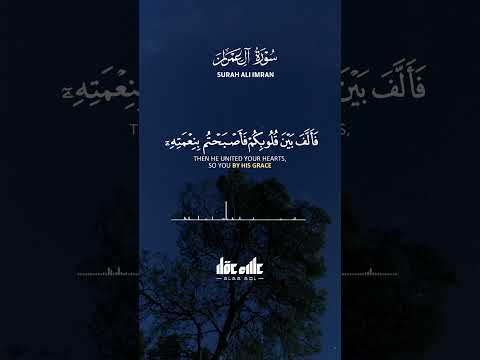 واعتصموا بحبل الله جميع ا ولا تفرقوا آية وحدة ورحمة