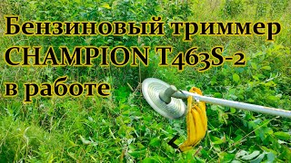 картинка: Бензиновый триммер CHAMPION T463S-2 в работе