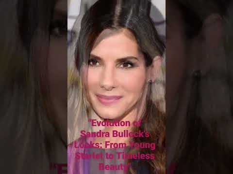 Evolution of Sandra