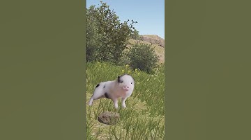 застигнут врасплох в RUST / РАСТ  #rust #мем #юмор