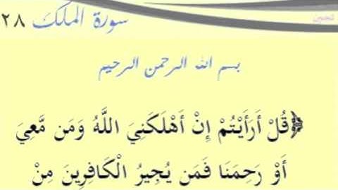سورة الملك آية 28
