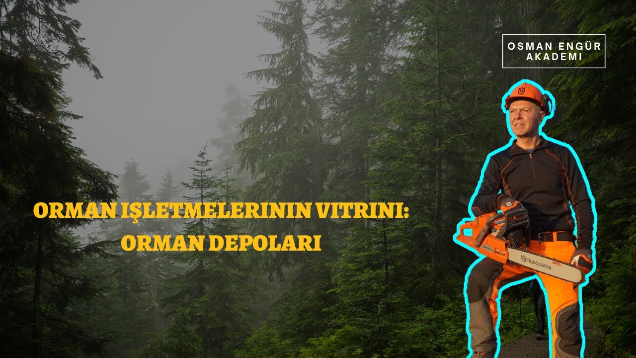 Orman İşletmelerinin Vitrini: Orman Depoları