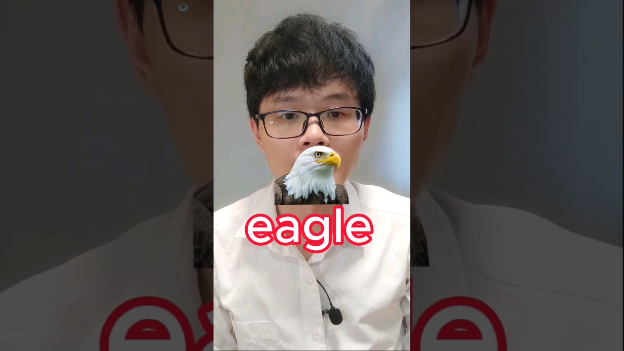 how to say "eagle" in Chinese 