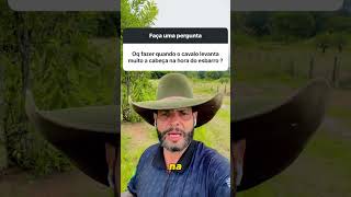 “Esbarro não se puxa… se constrói.” 🔥 #domademuares #doma #cavalos #domador #fazenda #horse #gado