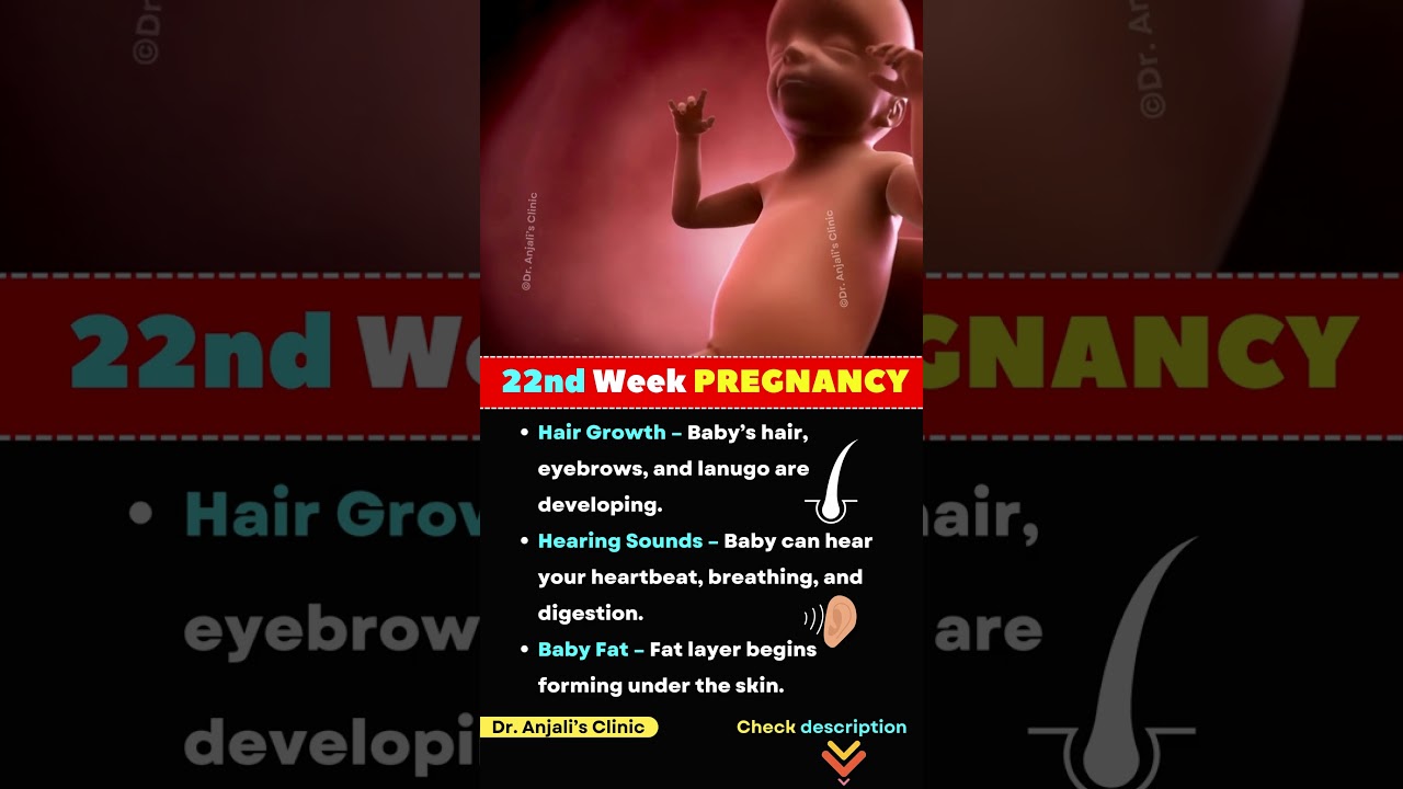 22nd Week of Pregnancy: Baby Growth, Body Changes & What to Expect | Weekly Pregnancy Guide