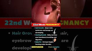 22nd Week of Pregnancy: Baby Growth, Body Changes & What to Expect | Weekly Pregnancy Guide
