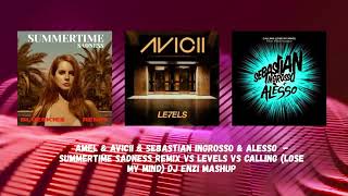 Amel U0026 Avicii   Summertime Sadness Remix Vs Levels Vs Calling lose My Mind  Dj Enzi Mashup