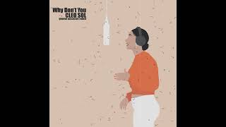 Cleo Sol - Why Don't You (GA Flex)