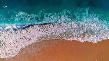 SEO Video Expert ☑️Predrag Petrovic YOUTUBE MARKETING - Optimization Strategist