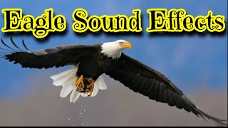 Eagle Sound Effects