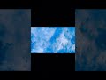 sky+bird #viral #youtubeshorts #naturevibes #skybird