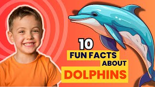 Dolphin:10 Fun Facts About Dolphins For Kids!