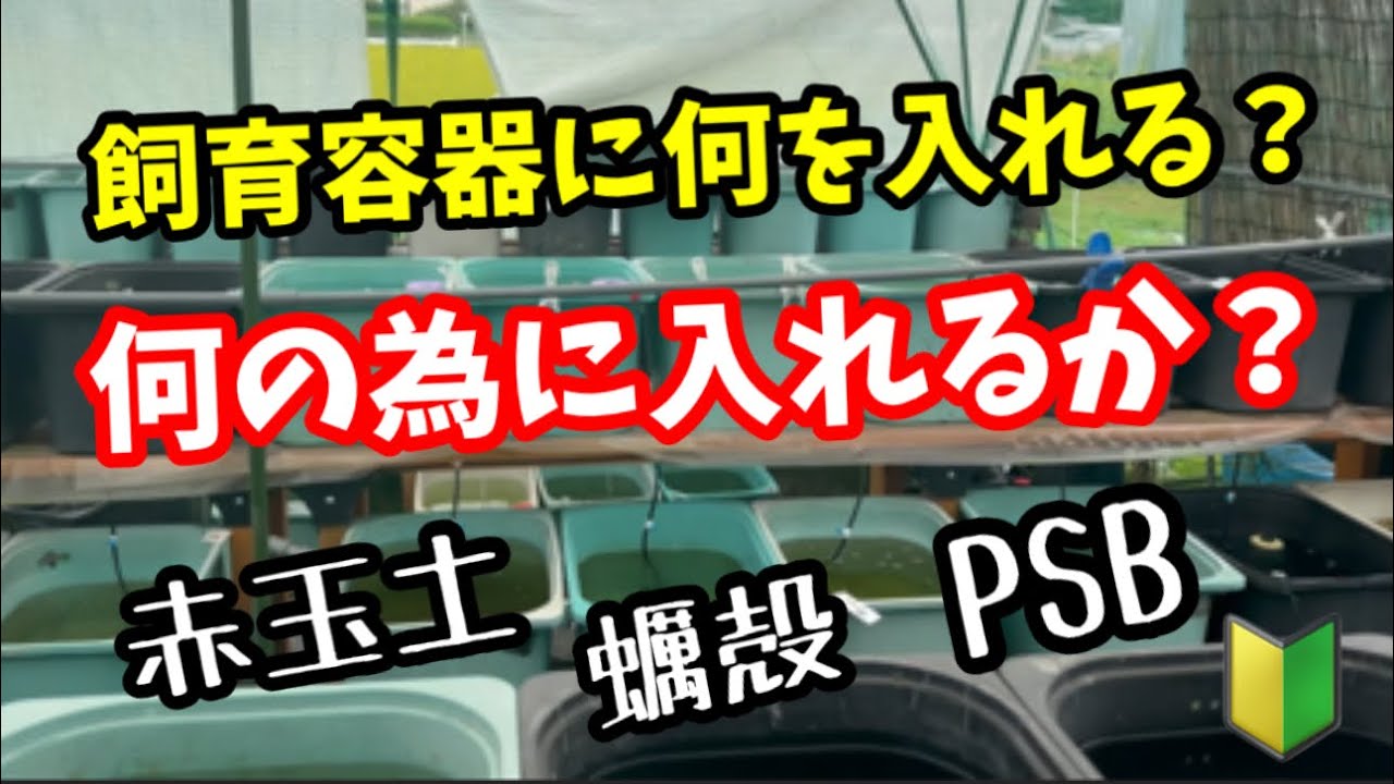 メダカ飼育は自身で勉強する事が大事ですという事を全力でご説明しました。【めだか】