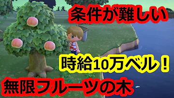 どうぶつの森 無限フルーツ 作り方 簡単 どうぶつの森 無限フルーツ 作り方 簡単