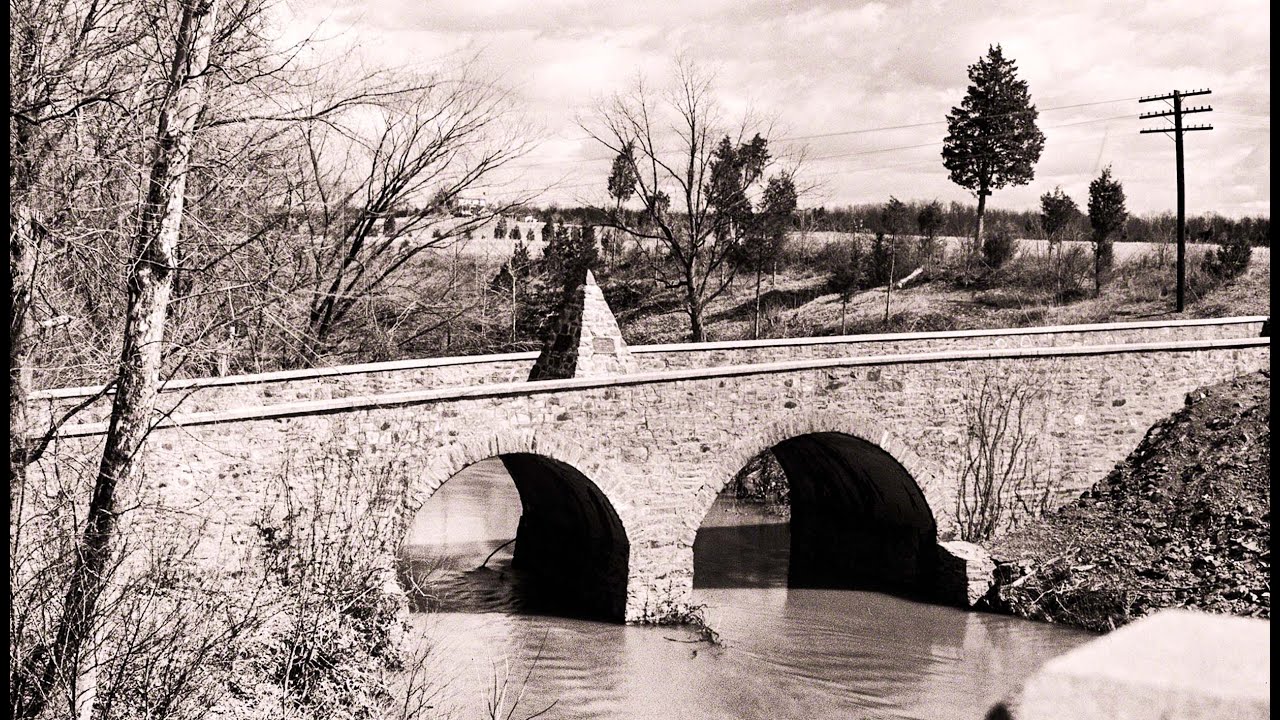 Глобальная Дичь .История метра