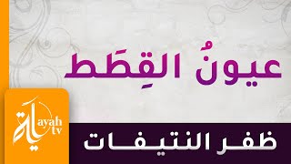 عيون القطط - ظفر النتيفات | أقول مقالة بر صدوق - كلمات الشيخ سعود الشريم