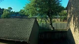Backyard Timelapse 2026 July