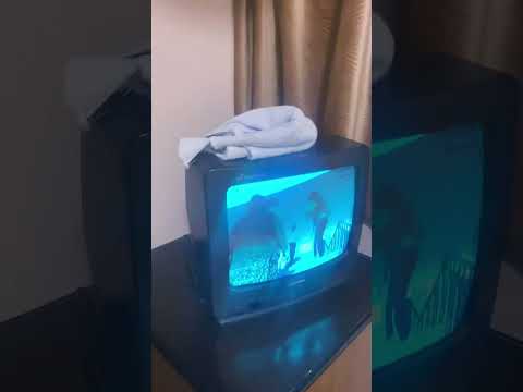 اوحش تجربة ليا في فنادق المنيا