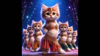 Cute Cat Dance