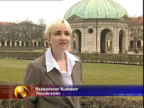 BARF - Barfen ist gesund für unsere Hunde.