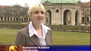 Barf - Barfen Ist Gesund Für Unsere Hunde.