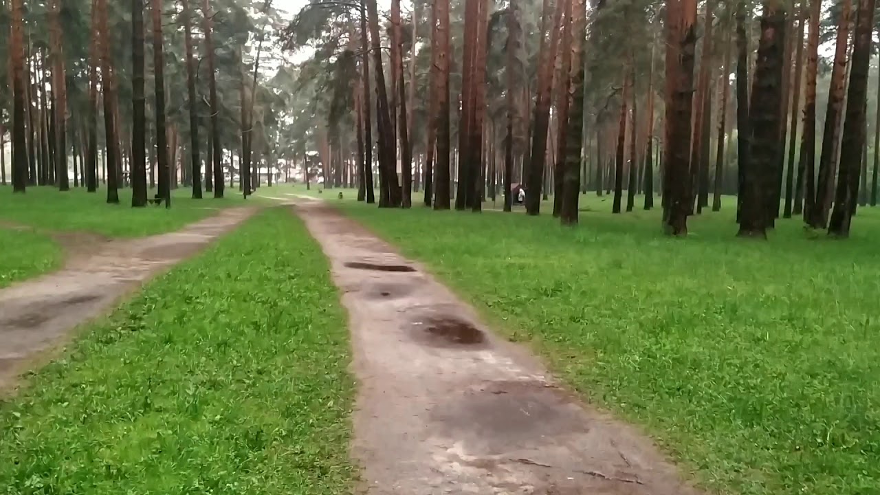 Линкольн парк намб