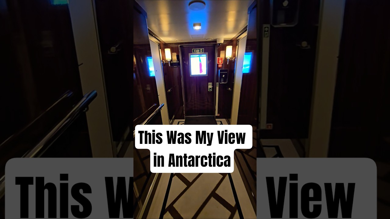 This Was My View in Antarctica 🇦🇶 #antarctica #view #expedition #cruise #travel #iceberg #cruiseship