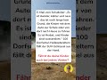 Kinder sind wasserdicht   Schulleiter spricht 🌧️