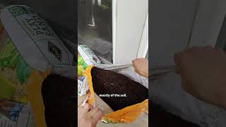 Egg laying box for #beardeddragon #reptile Egg laying box for #beardeddragon #reptile