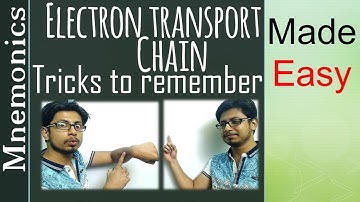 Electron transport chain tricks easy to remember