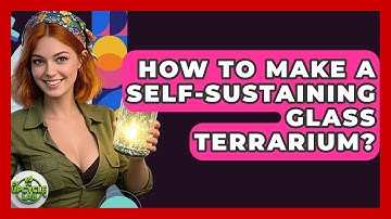 How To Make A Self-sustaining Glass Terrarium? - The Upcycle Lab